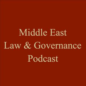 Episode 21 - Coalition Governments in the MENA with Dr Francesco Cavatorta & Dr Hendrik Kraetzschmar