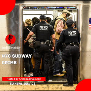 NYC Subway Crime