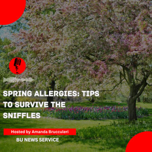 Spring allergies: tips to survive the sniffles