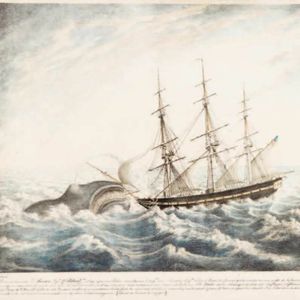 Episode 94: The REAL Moby Dick