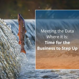 Meeting the Data Where It Is: Time for the Business to Step Up - Audio Blog