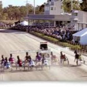 'Square Gaiters' - The Harness Racing Show - May 4, 2024