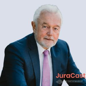 50 Professionals - Gast: Wolfgang Kubicki (stlv. Bundestagspräsident) (Jura-Podcast)