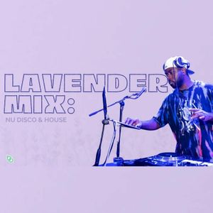 Lavender MiX: Nu Disco & House