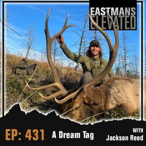 Episode 431: A Dream Tag With Jackson Reed