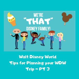 Tips for Planning a WDW Vacation - Pt 3