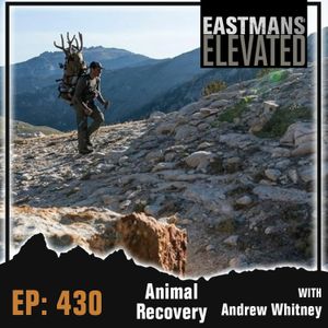Episode 430: Animal Recovery With Andrew Whitney