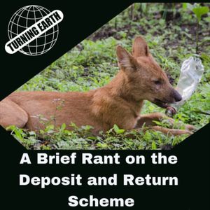 DDR E.07 A brief rant on the Deposit and Return Scheme