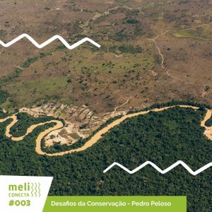 [Meli 003] Desafios da Conservação - Pedro Peloso