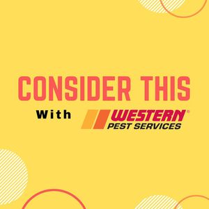 It's your yard!  You should be able to enjoy it without get bitten by mosquitoes!  This episode gives you some practical tips about staying safe from mosquitoes, as well as what to look for when you are hiring a professional to take back your yard.