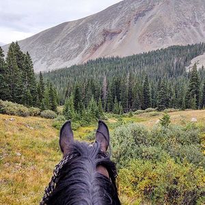 Top Ten Horse Trails in Colorado