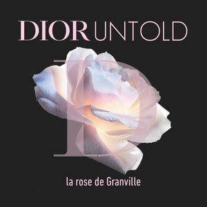 La rose de Granville