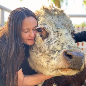 THE HEALING POWER OF ANIMALS | ELLIE LAKS