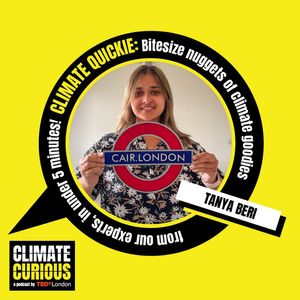 Climate Quickie: The app tackling air pollution on the London Underground