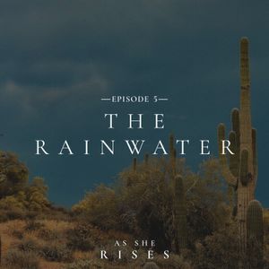 The Rainwater