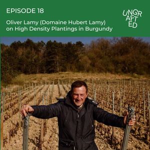 Episode 18: Olivier Lamy (Domaine Hubert Lamy) on High Density Plantings in Burgundy