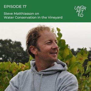 Episode 17: Steve Matthiasson on Water Conservation in the Vineyard