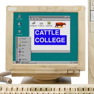 Episode 105 - Cattle College