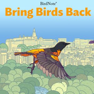 Bring Birds Back Season 5