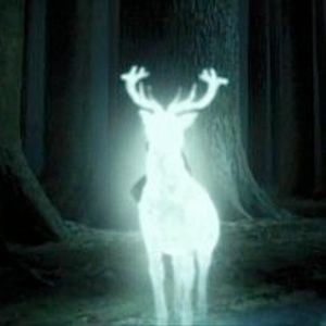 3.11 Prisoner of Azkaban - Wrap Up Discussion with a Special Guest!