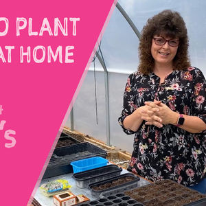 How to plant seeds at home, real easy!