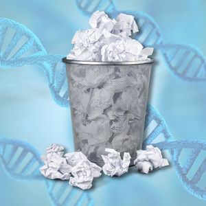 S6.24: Genes, junk and the ‘dark genome’