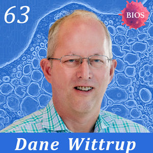 63. Immunotherapy Protein Engineering & Entrepreneurship w/ Dane Wittrup - Professor @ MIT