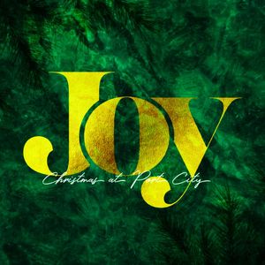 Joy: Part Four