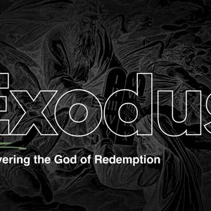 Exodus : See & Do