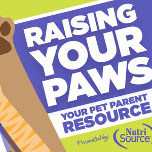 Raising Your Paws- Your resource for dog & cat pet parents
