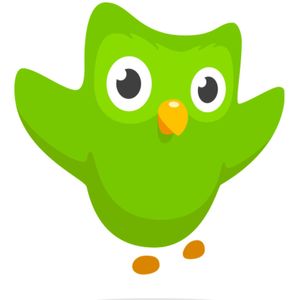 App review 1:  Duolingo vs Rosetta Stone - by  Álvaro Ortiz