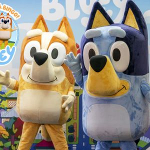 Bluey is coming to Ipswich Show, new rides and bigger fireworks, city's population now 254,000
