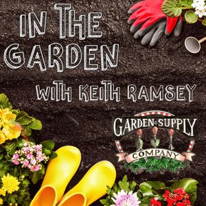What's next for the Garden Supply Company? We are bringing back a retro look and expanding into some new exciting types of plants focusing on home, office, and patio.