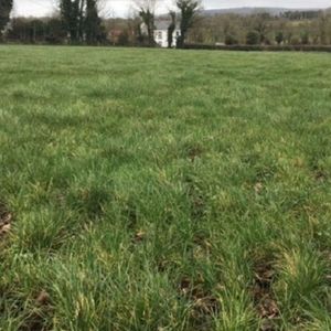 Tips & advice for closing silage ground