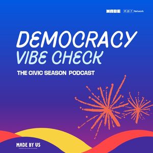 Democracy Vibe Check