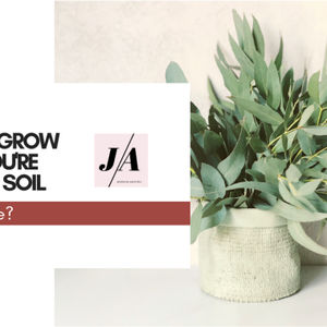 How to Grow When You’re Stuck in Soil – Podcast 008