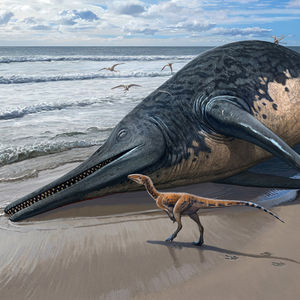 An 11-Year-old Unearthed Fossils Of The Largest Known Marine Reptile