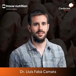 #142 - Alimentación post destete: salud y rendimiento del lechón - Dr. Lluís Fabà Camats