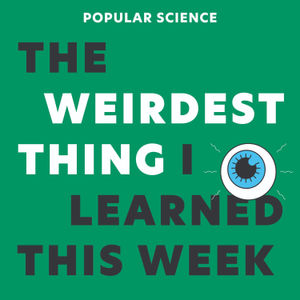 Christie Taylor joins the show to talk about dung beetles who love to stargaze. Plus, Laura explains how early beer brewers were women, and Rachel gets into weird internet language on TikTok and beyond.
The Weirdest Thing I Learned This Week is a podcast by Popular Science. Share your weirdest facts and stories with us in our Facebook group or tweet at us!
Click here to learn more about all of our stories! 
Links to Rachel's TikTok, Newsletter, Merch Store and More: https://linktr.ee/RachelFeltman 
Rachel now has a Patreon, too! Follow her for exclusive bonus content: https://www.patreon.com/RachelFeltman
Link to Jess' Twitch: https://www.twitch.tv/jesscapricorn
--
Follow our team on Twitter
Rachel Feltman: www.twitter.com/RachelFeltman
Produced by Jess Boddy: www.twitter.com/JessicaBoddy
Popular Science: www.twitter.com/PopSci
Theme music by Billy Cadden: https://open.spotify.com/artist/6LqT4DCuAXlBzX8XlNy4Wq?si=5VF2r2XiQoGepRsMTBsDAQ
Thanks to our Sponsors!

Get 20% OFF @honeylove by going to https://honeylove.com/WEIRDEST! #honeylovepod

Right now, get 55% off at https://Babbel.com/WEIRDEST



This episode is sponsored by BetterHelp. Get 10% off your first month at https://BetterHelp.com/WEIRDEST


Head to https://FACTORMEALS.com/weirdest50 and use code weirdest50 to get 50% off.


Learn more about your ad choices. Visit podcastchoices.com/adchoices