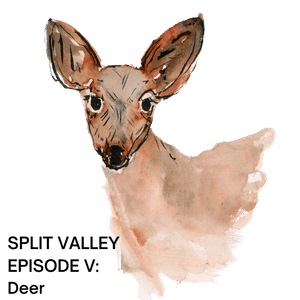 Episode V: Deer
