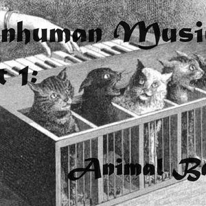 Non-Human Music, Part 1: Animal Bands (Episode 97)