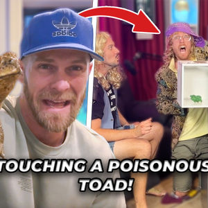 Do Woman Belong In The Kitchen? And Touching A Poisonous Toad (Season 6, Episode 9)