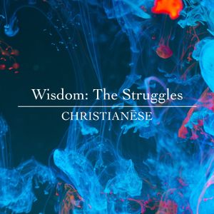 Wisdom Part 2: The Struggles