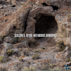 Nefarious Burrows (S5, E90)