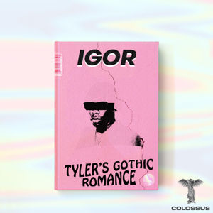 Who and What Is IGOR?