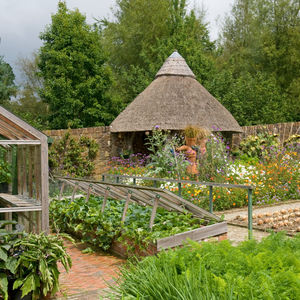 GYO tips from Rosemoor, plant hybrids, and shrubscapes
