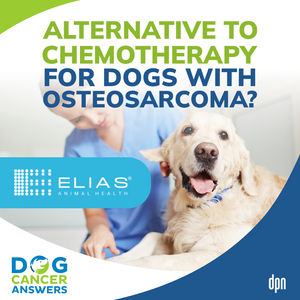 Alternative to Chemotherapy for Dogs with Osteosarcoma | Tammie Wahaus of ELIAS Animal Health #242