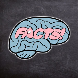 Your Brain on Facts