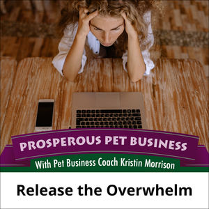 Episode 138. Release the Overwhelm