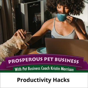 Episode 140. Productivity Hacks